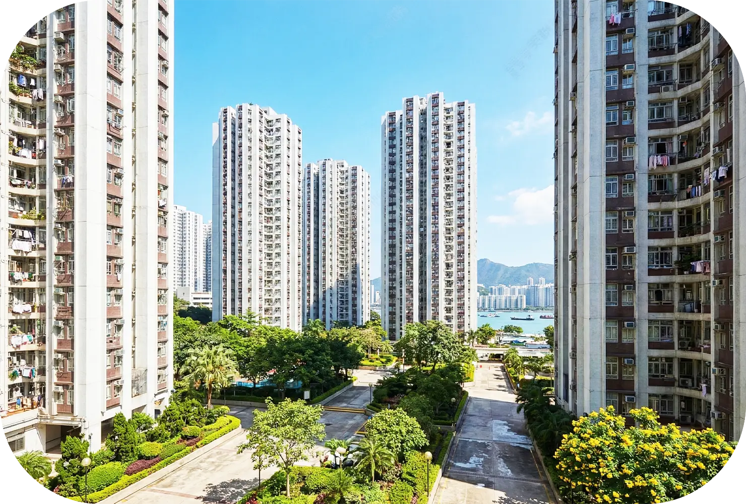 大型屋苑及私人樓宇搬屋常見問題：由實惠搬屋解答關於管理處搬運申請流程、電梯大堂保護及停車場高度限制的專業指南。